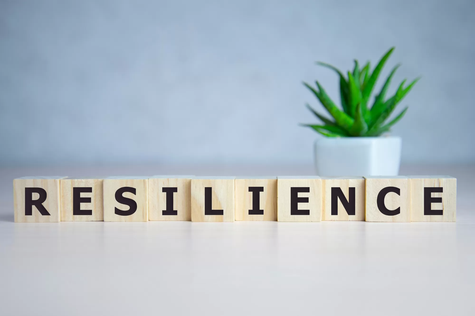 Resilience training